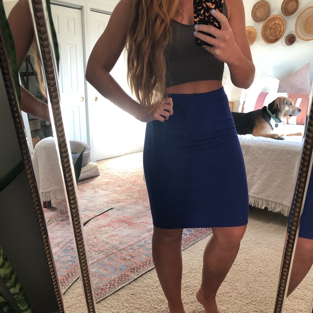 Mossimo Purple/Blue Pencil Skirt